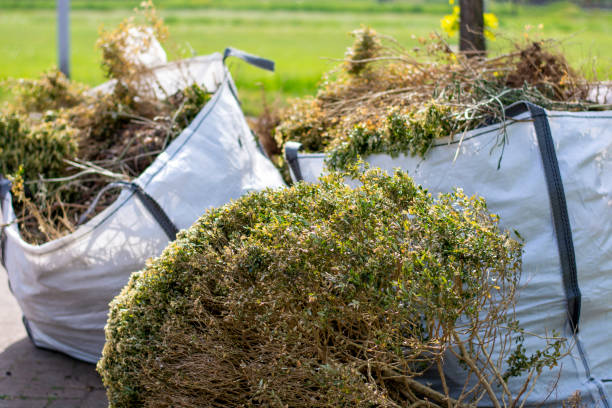 Best Electronics Removal Services  in Denver, CO